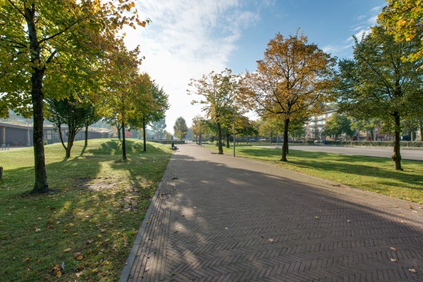 Photo - For rent: Reinaert de Vosstraat 22, 1055 CM Amsterdam